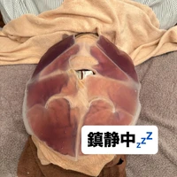 画像425